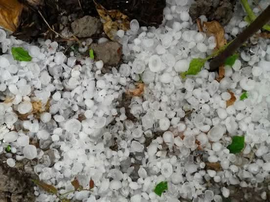 Hailstorm Causes Extensive Damage