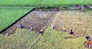 Ai powered classroom